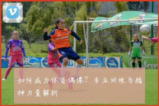 如何成为体育偶像?专业训练与精神力量解析