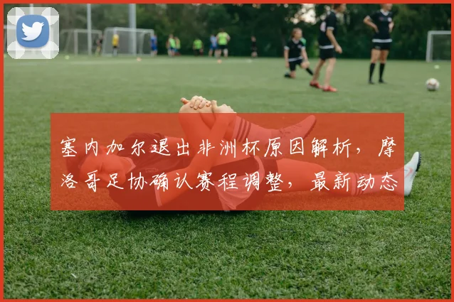 塞内加尔退出非洲杯原因解析,摩洛哥足协确认赛程调整,最新动态追踪